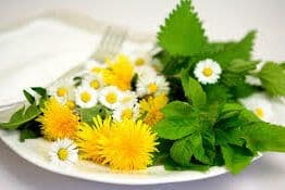 Agenda du 2ème trimestre 2025 au Centre énergétique « Source de Vie »